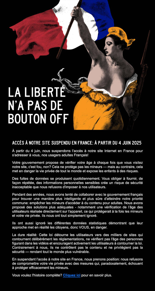 Aylo suspend l’accès à Pornhub et à ses autres plateformes en France